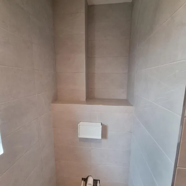 Wall-hung WC in the shower room, with a tiled shelf above it and the patterned floor tile below